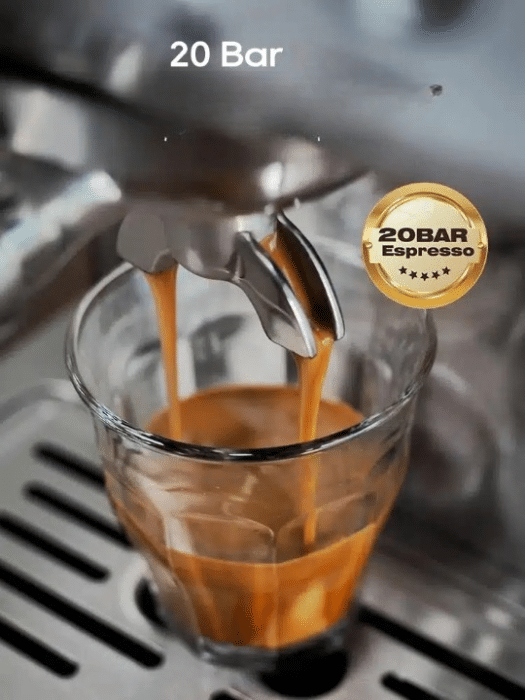 4094966857 (1)_cleanup