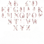 2428469148_cleanup_cleanup