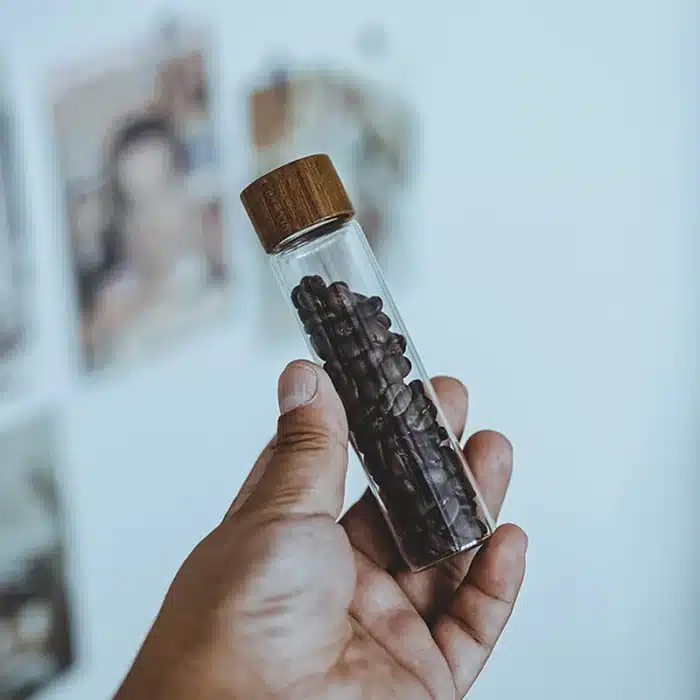 kit graine de cafe 6