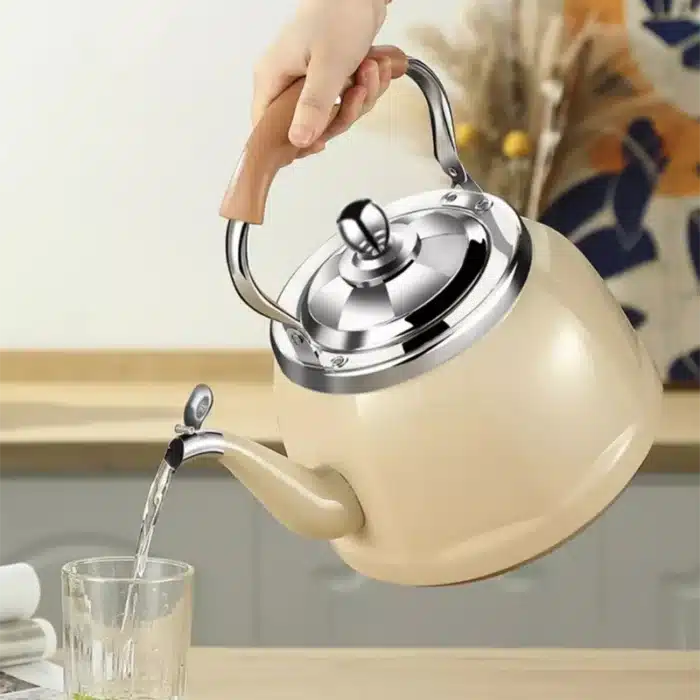 Bouilloire à sifflet épaisse 2