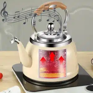 Bouilloire à sifflet épaisse 1