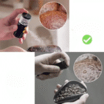 Réveil de grains de café