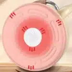 Bouilloire à sifflet épaisse 4