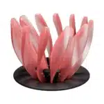 Filtre à café goutteur Vshaped 2